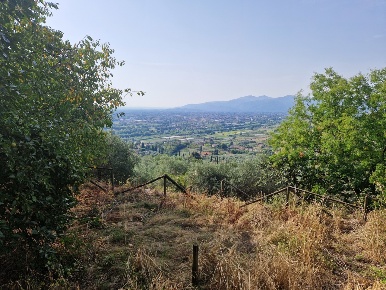 Foto Rustico in Via montebonelli, Lucca La Maulina - Morianese di 340 m²