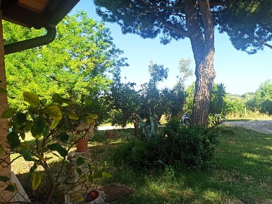Foto Casale in Contrada Fontanelle 30, Montecosaro con 7 locali in vendita