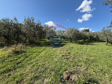 Foto Terreno agricolo in Via Case Basse, Foligno di 1590 m² in vendita