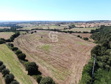 Foto Terreno agricolo in località Madria Casaletto, Tuscania in vendita