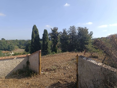 Foto Terreno agricolo in Via MARMOLADA SNC, Aprilia di 4380 m² in vendita