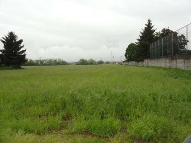 Foto Terreno agricolo in Via Castello, Cornate d'Adda di 16265 m²