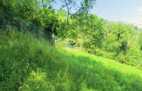 Foto Terreno agricolo in Frazione Buttello, Valgreghentino di 5275 m²