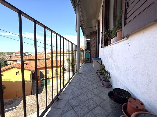 immagine annuncio 9 di 14