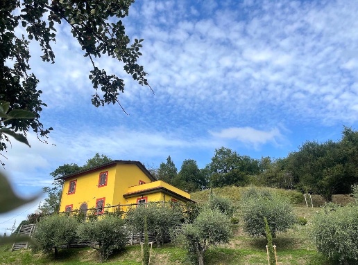 casa indipendente in vendita a Fivizzano in zona Tenerano