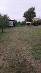 Foto Terreno agricolo a Collesalvetti Stagno di 2000 m² in vendita