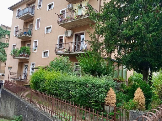 immagine annuncio 3 di 8