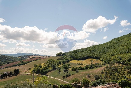 Foto Terreno agricolo in Contrada Villanova, Apiro di 28631 m² in vendita