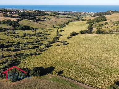 Foto Terreno agricolo in C.da Casette Antonelli, Potenza Picena in vendita