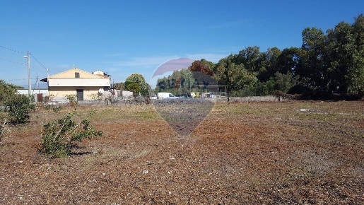 Foto Terreno agricolo in Via dell'Altea, Catania Vaccarizzo di 7000 m²