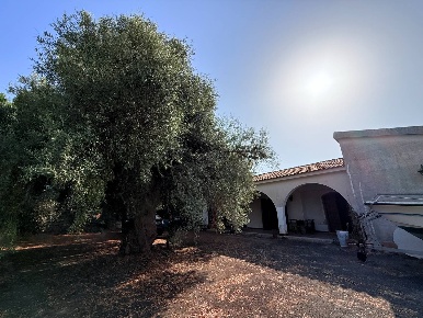 Foto Villa singola in Via Isola, Siracusa Isola di 151 m² con 5 locali