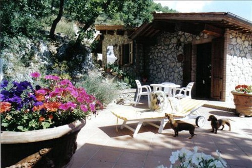 immagine annuncio 1 di 8