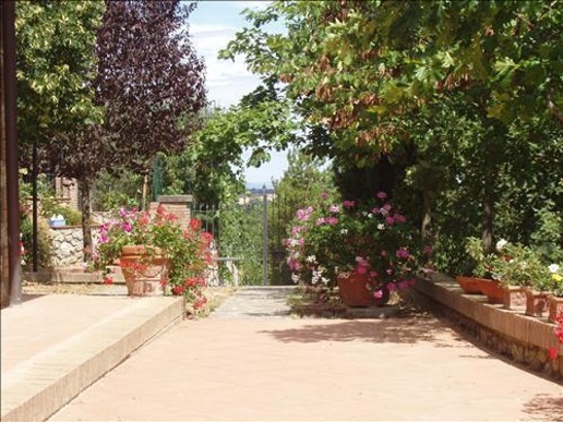 immagine annuncio 3 di 8