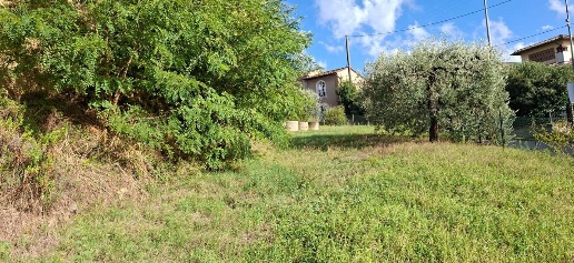 Foto Terreno agricolo a Palaia Montefoscoli di 540 m² in vendita