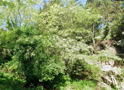 immagine annuncio 2 di 3