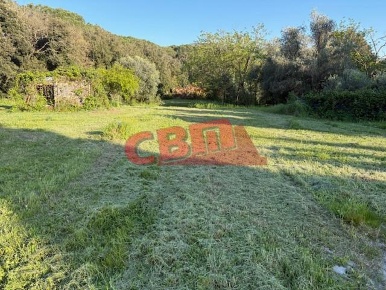 Foto Terreno agricolo a Livorno Porta a Terra - Padula di 1798 m²