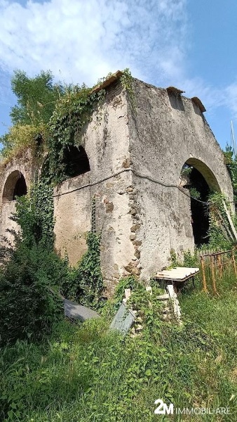 immagine annuncio 1 di 2