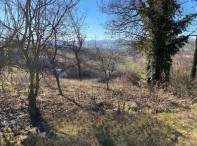 Foto Terreno agricolo in via Prielli, Rosignano Monferrato Stevani