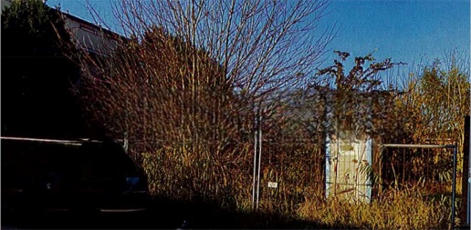 Foto Terreno agricolo in Via Comi Antonio, Cento Cento Paese di 1056 m²