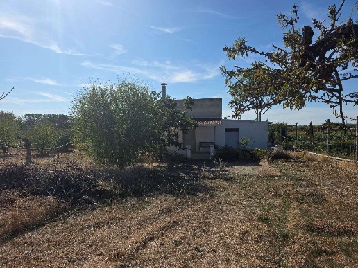 immagine annuncio 1 di 7