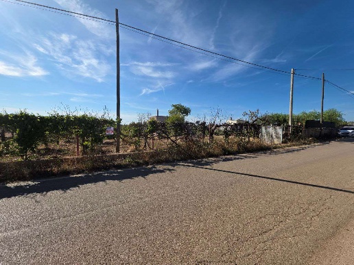 immagine annuncio 5 di 7