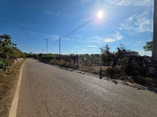 immagine annuncio 6 di 7