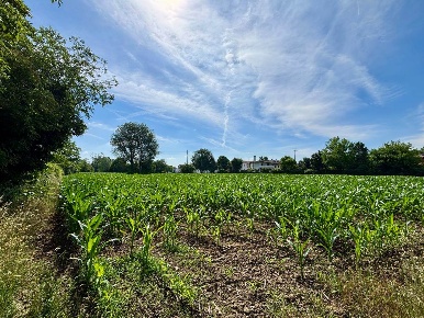 Foto Terreno agricolo in VIA SANTA CATERINA 20, Noale Centro di 11000 m²