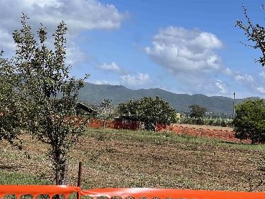 Foto Terreno edificabile a Bibbona di 2700 m² in vendita