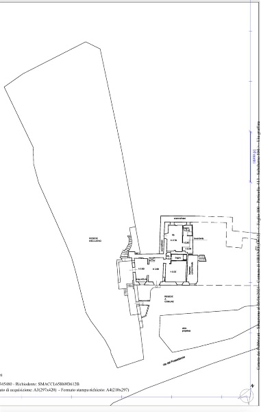 immagine annuncio 12 di 14