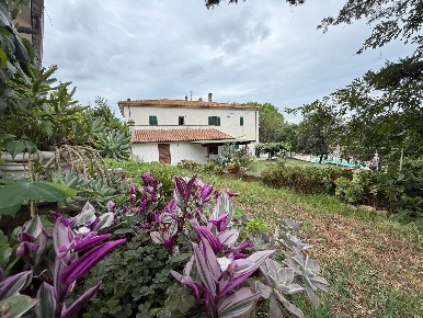 Foto Agriturismo a Santa Luce di 595 m² con 6 locali in vendita