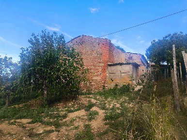 Foto Struttura sanitaria in località avanella marzolino 1, Certaldo