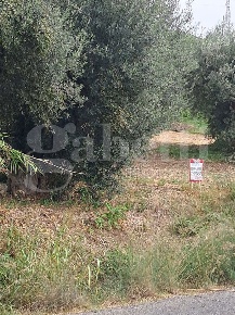 Foto Terreno residenziale in Corso ITALIA -, Amantea Campora San Giovanni