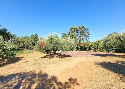 Foto Terreno agricolo in Via Bernina 3, Aprilia Casalazzara - Torre Bruna