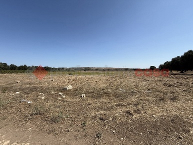 Foto Terreno agricolo in Contrada ANGALONE SNC, Faggiano di 6500 m²