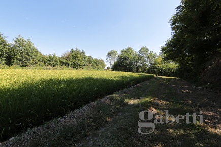 Foto Capannone industriale in Strada provinciale 594 5, Lenta di 550 m²