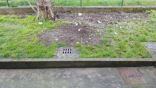 Foto Appartamento in Via Prov. Francesca, Santa Maria a Monte Montecalvoli