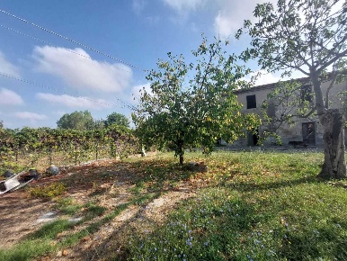 Foto Casale in Piazza della chiesa di Sant'ippolito, Prato Sant'Ippolito