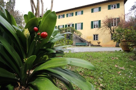 Foto Villa unifamiliare in Via del Caporale 773, Lucca di 750 m² in vendita