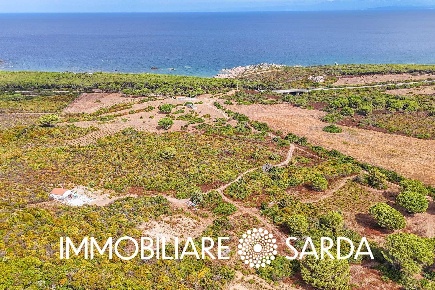 Foto Villa singola in Strada Castelsardo - Santa Teresa di Gallura,