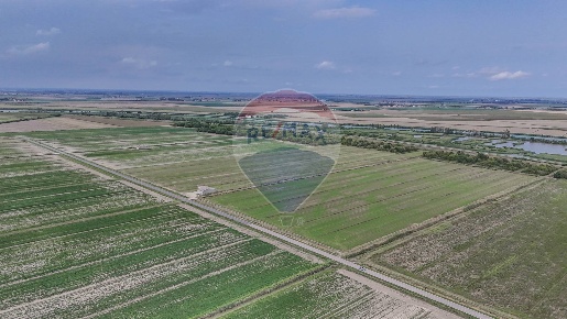 Foto Terreno agricolo in Via per Gorino, Goro Gorino di 59000 m² in vendita