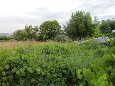 Foto Terreno residenziale in Via Tancredi, Giulianova Centro di 720 m²