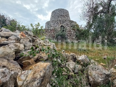 Foto Terreno agricolo in Via SP 76 10, Presicce-Acquarica di 20100 m²