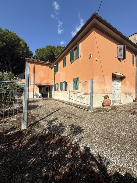 immagine annuncio 1 di 14
