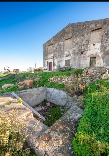 immagine annuncio 10 di 13