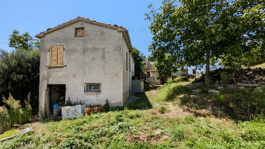 immagine annuncio 3 di 14