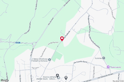 immagine annuncio 12 di 13