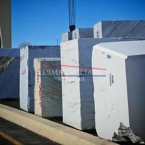 Foto Capannone industriale a Massa Centro di 11500 m² con 5 locali