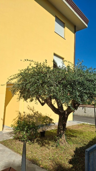 immagine annuncio 10 di 13