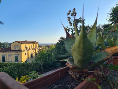 Foto Villa a schiera a Carrara Fontia, Fossola, Fossone di 120 m²