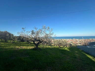 Foto Terreno edificabile in Contrada San Silvestro, Silvi di 5000 m²